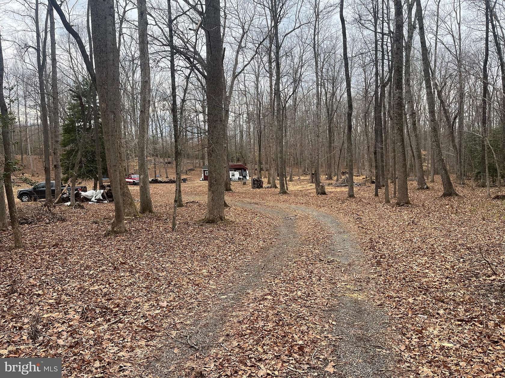 10.9 Acres of Land for Sale in Goldvein, Virginia