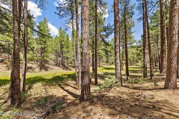 10 Acres of Land for Sale in Flagstaff, Arizona