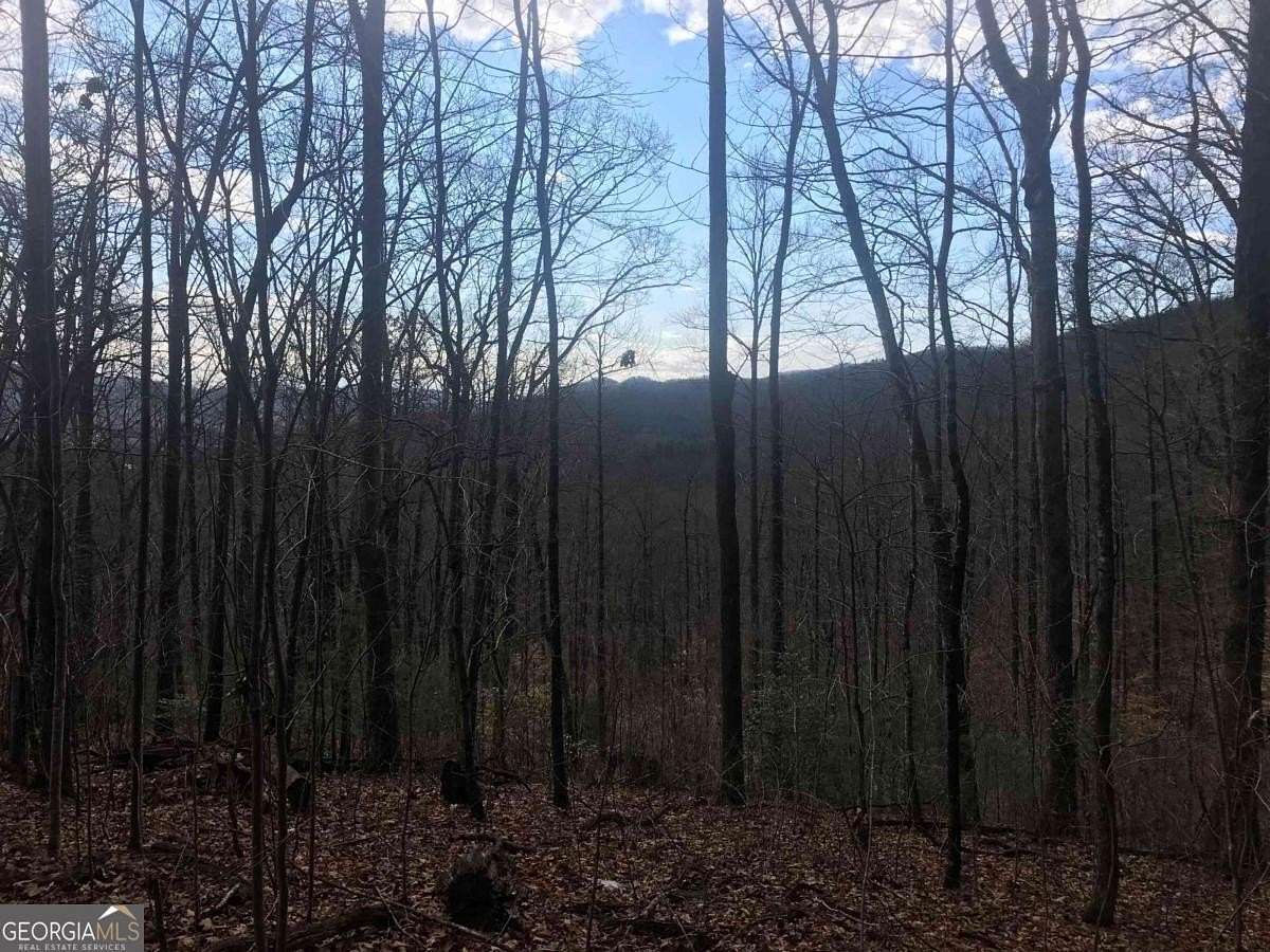 3 Acres of Residential Land for Sale in Dillard, Georgia