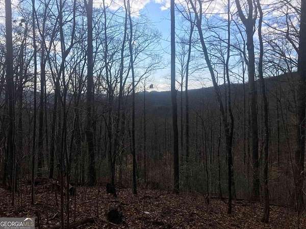 3 Acres of Residential Land for Sale in Dillard, Georgia