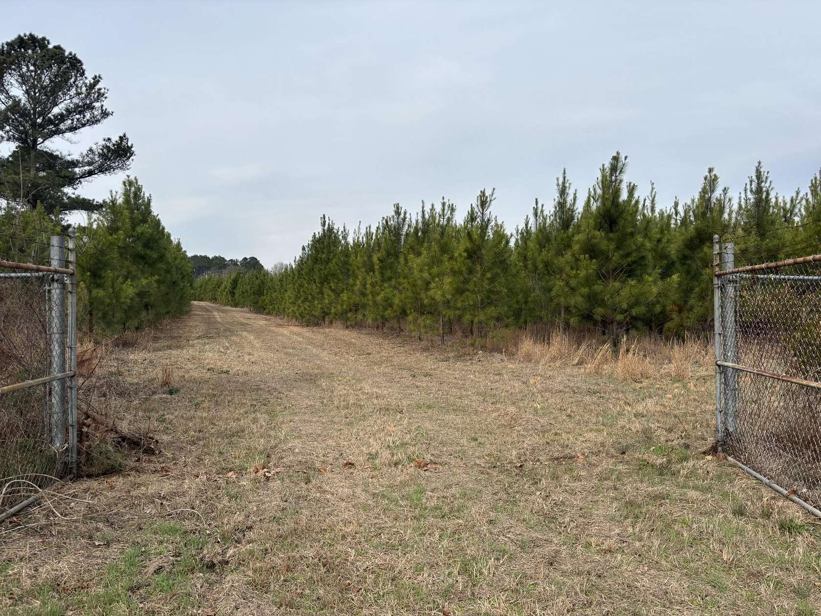 22 Acres of Recreational Land for Sale in North, South Carolina