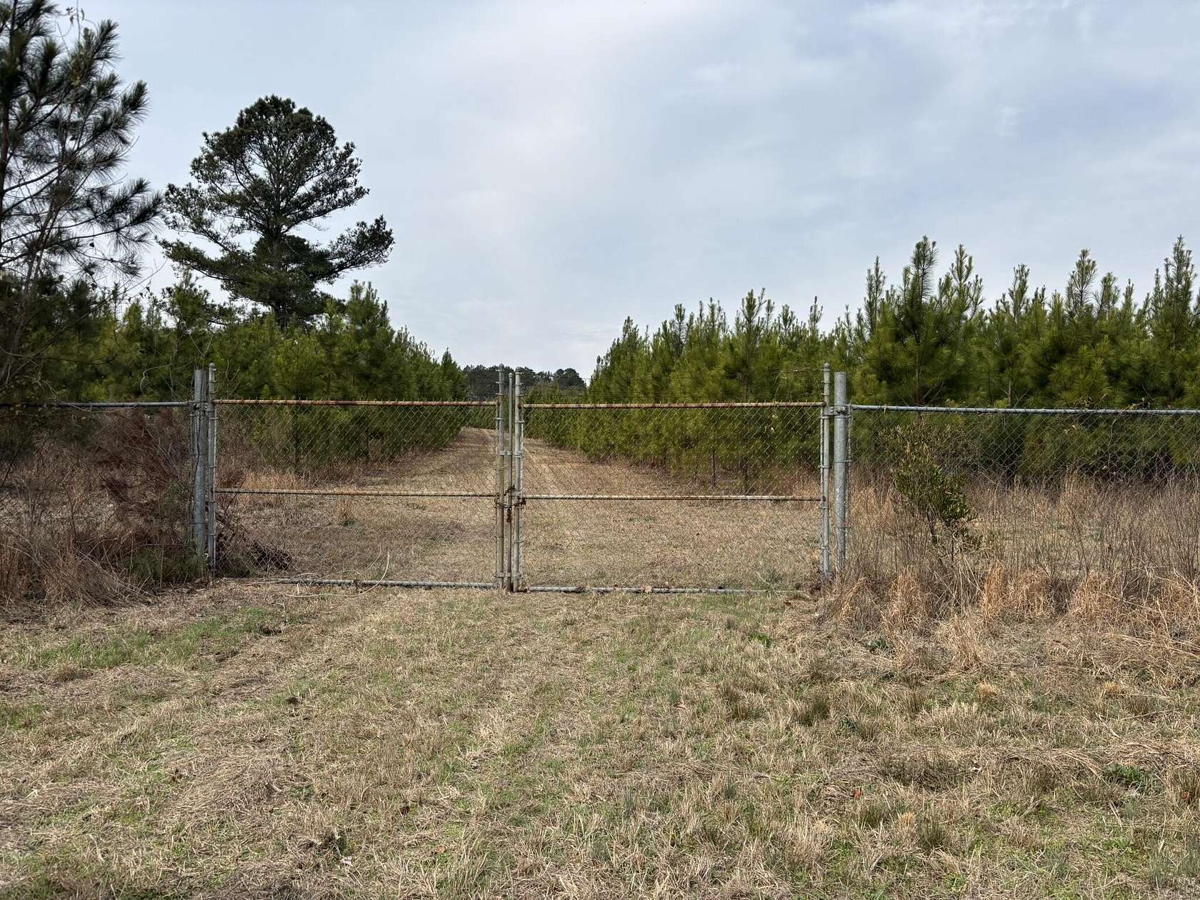 22 Acres of Recreational Land for Sale in North, South Carolina