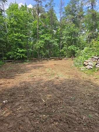 Residential Land for Sale in Roscommon, Michigan