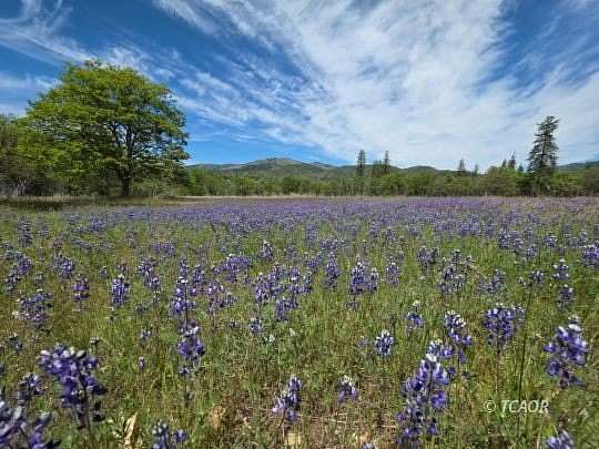 53 Acres of Land with Home for Sale in Hayfork, California