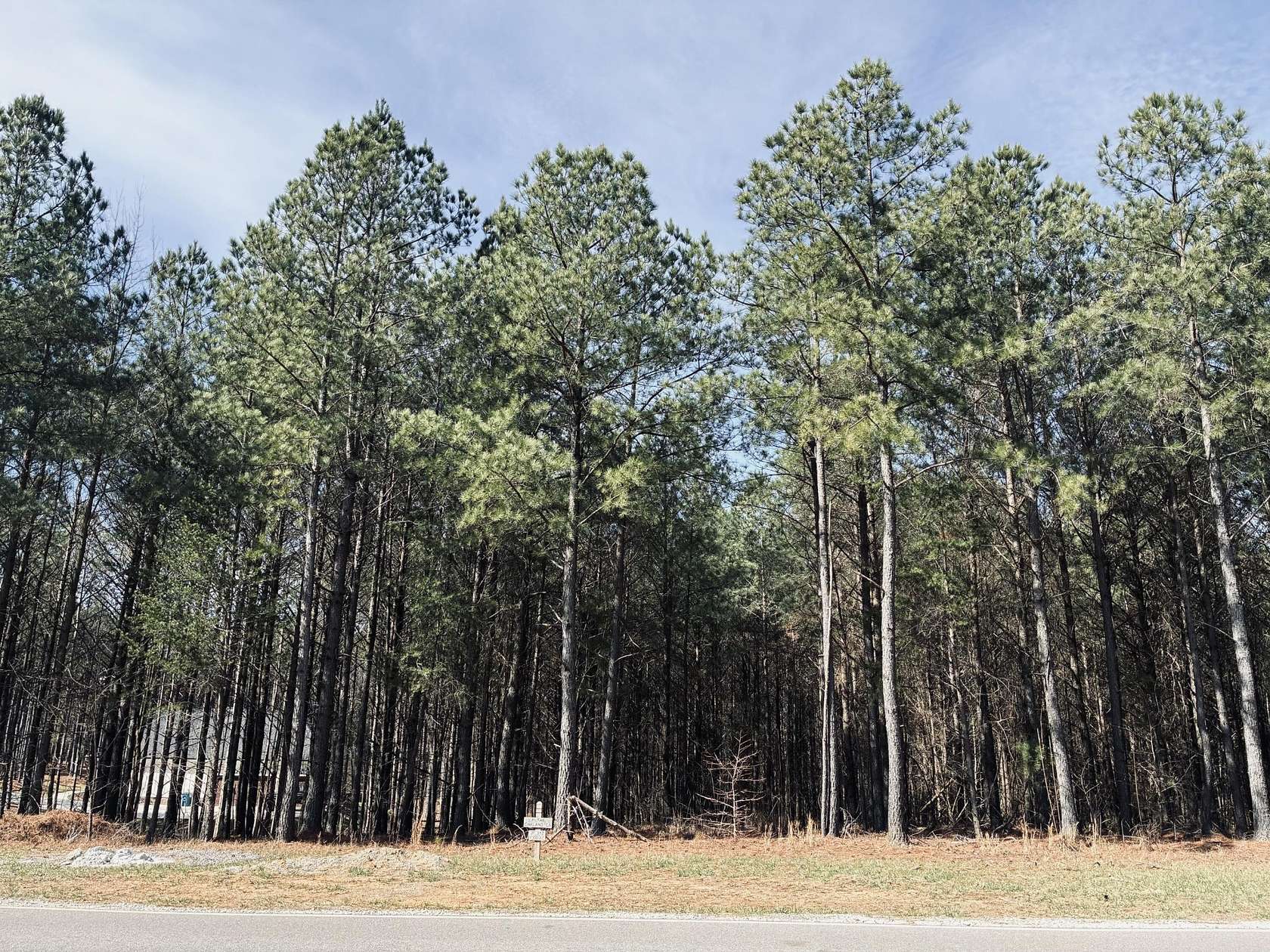 1 Acre of Residential Land for Sale in Jasper, Tennessee