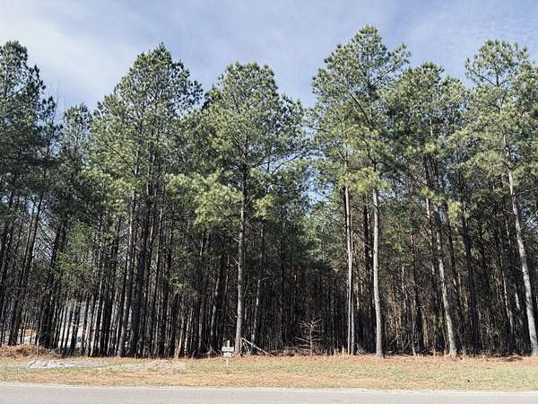 1 Acre of Residential Land for Sale in Jasper, Tennessee