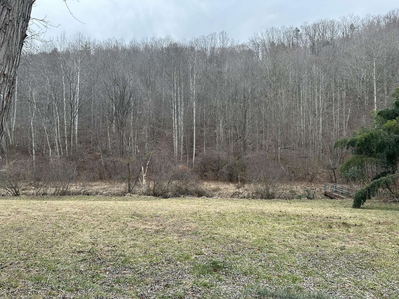 73 Acres of Recreational Land for Sale in Ferrum, Virginia
