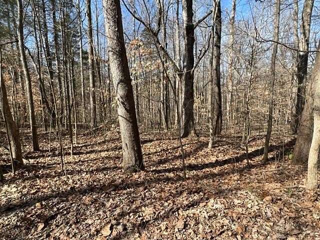 1.25 Acres of Residential Land for Sale in Bumpus Mills, Tennessee