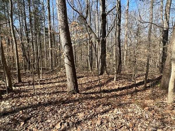 1.25 Acres of Land for Sale in Bumpus Mills, Tennessee