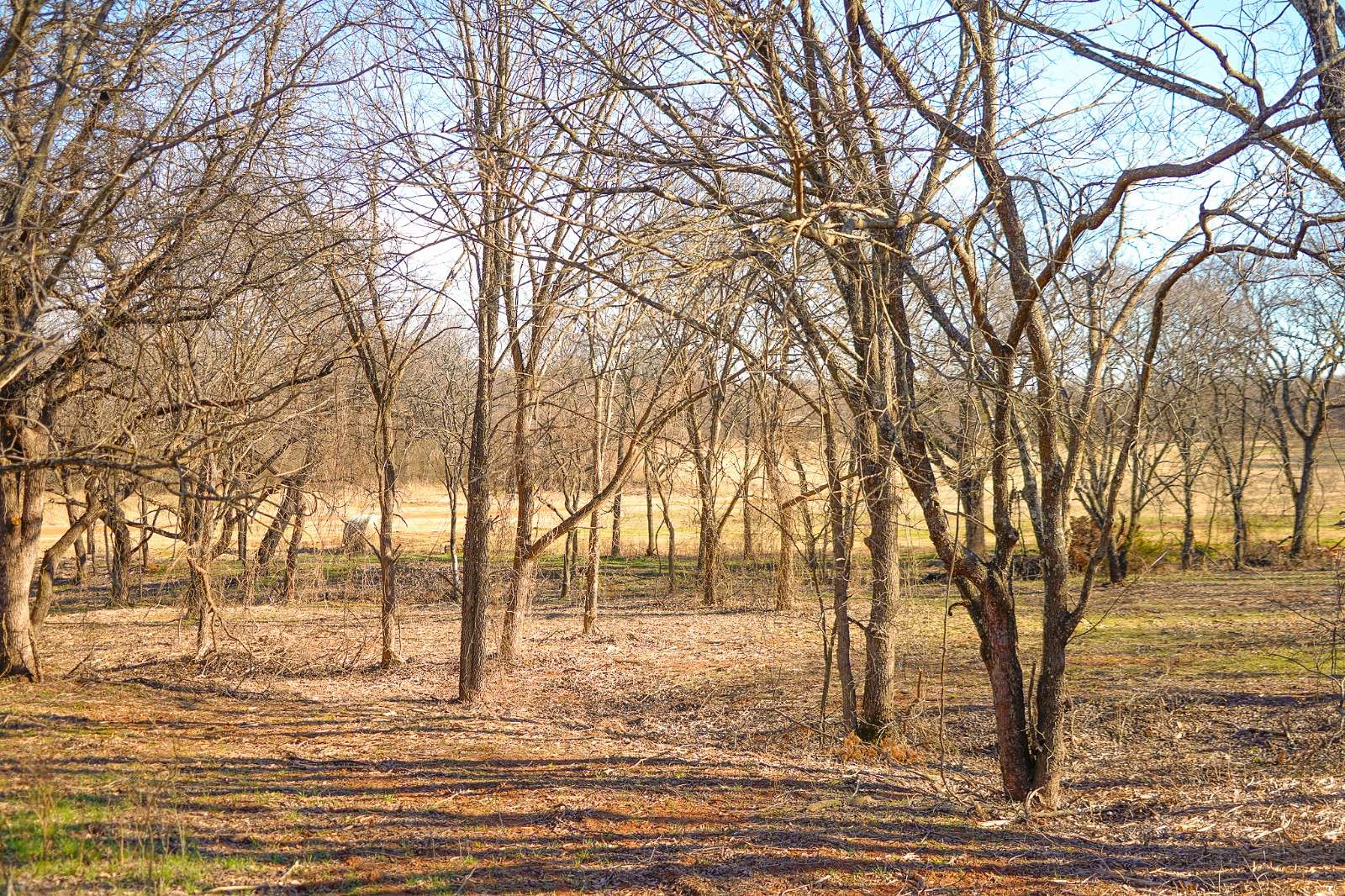 5 Acres of Residential Land for Sale in Arcadia, Oklahoma