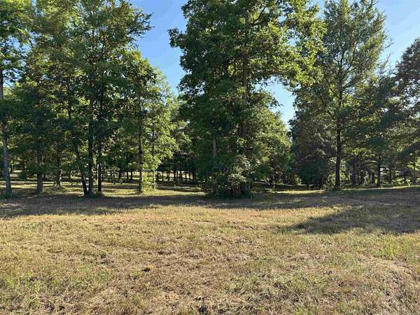 3.5 Acres of Land for Sale in Sheridan, Arkansas
