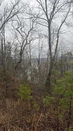 8.7 Acres of Land for Sale in Bronston, Kentucky