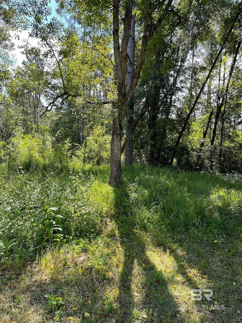 1 Acre of Residential Land for Sale in Robertsdale, Alabama