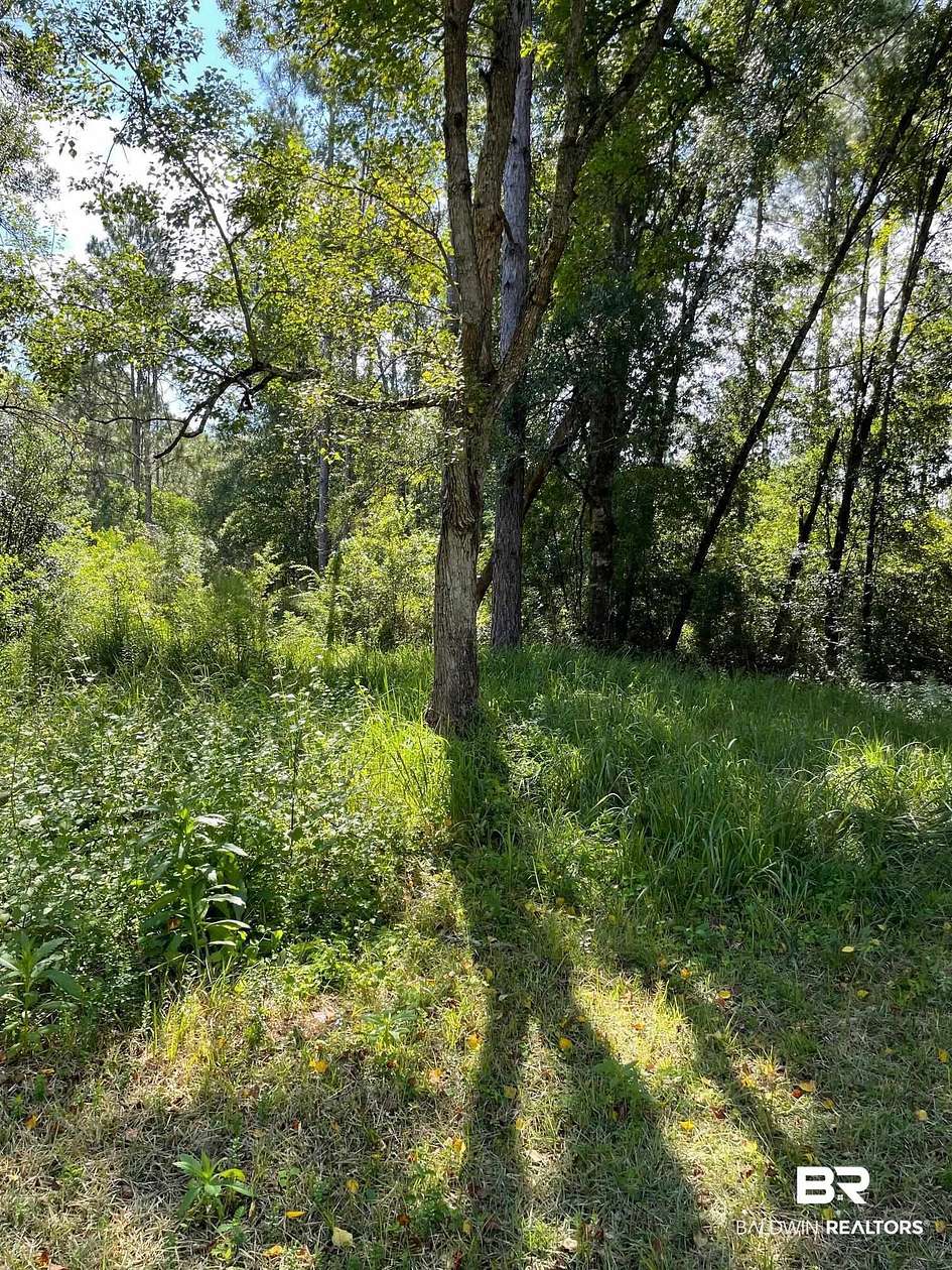 1 Acre of Residential Land for Sale in Robertsdale, Alabama