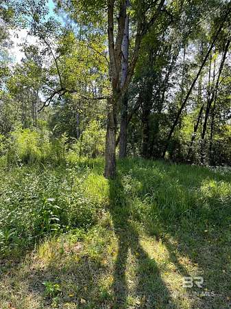 1 Acre of Residential Land for Sale in Robertsdale, Alabama