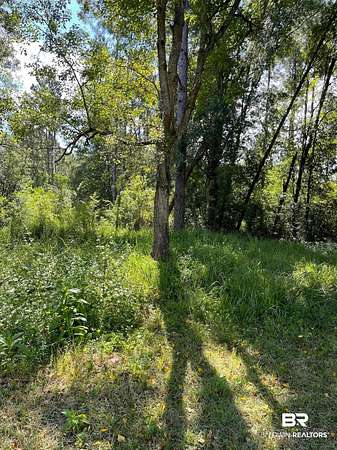 1 Acre of Residential Land for Sale in Robertsdale, Alabama