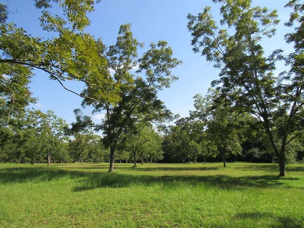 1.49 Acres of Residential Land for Sale in Dothan, Alabama