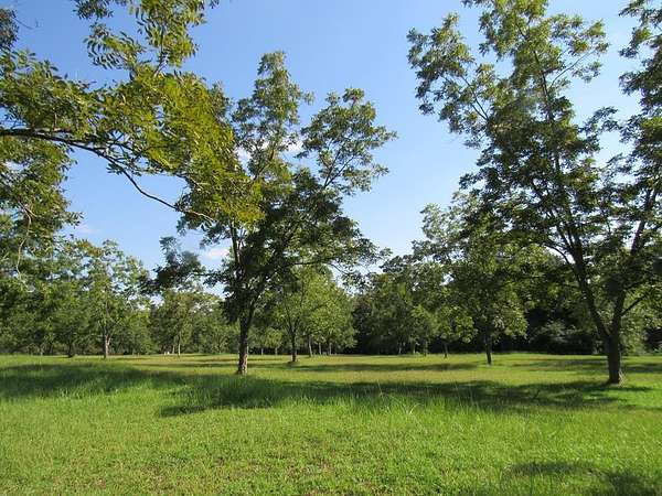 1.49 Acres of Residential Land for Sale in Dothan, Alabama
