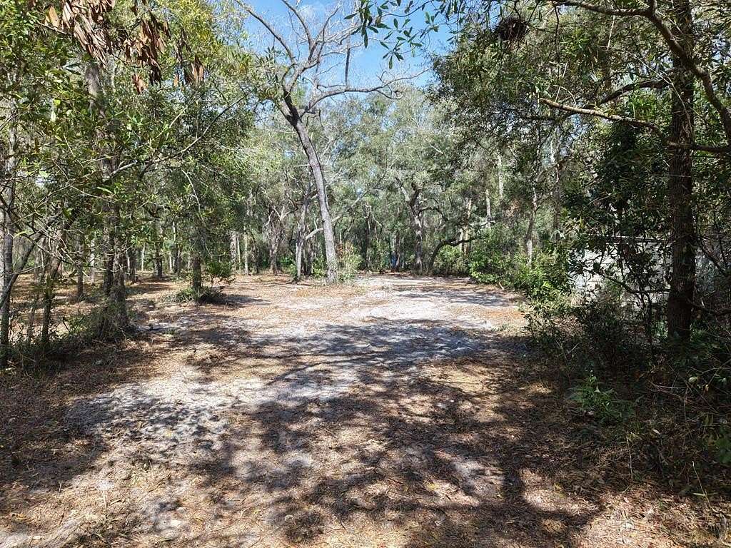 0.7 Acres of Residential Land for Sale in Trenton, Florida