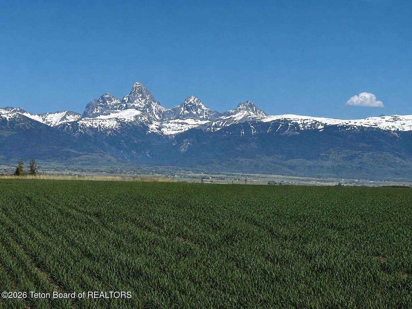 1 Acre of Residential Land for Sale in Tetonia, Idaho