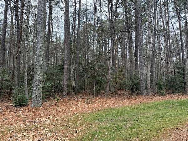3 Acres of Residential Land for Sale in Burgess, Virginia