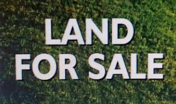 40 Acres of Land for Sale in Phil Campbell, Alabama