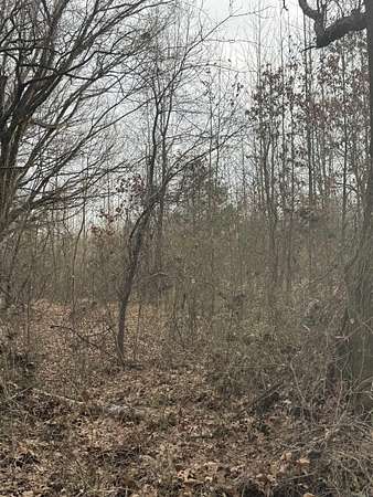 10 Acres of Land for Sale in Jonesboro, Arkansas