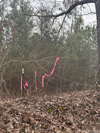 10 Acres of Land for Sale in Jonesboro, Arkansas