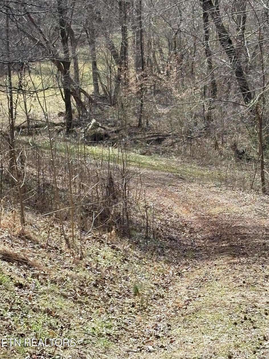 81.2 Acres of Recreational Land for Sale in Englewood, Tennessee