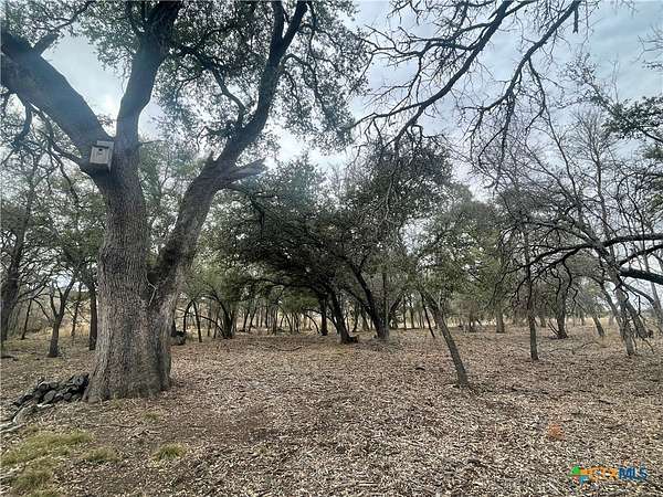10 Acres of Land for Sale in Lampasas, Texas