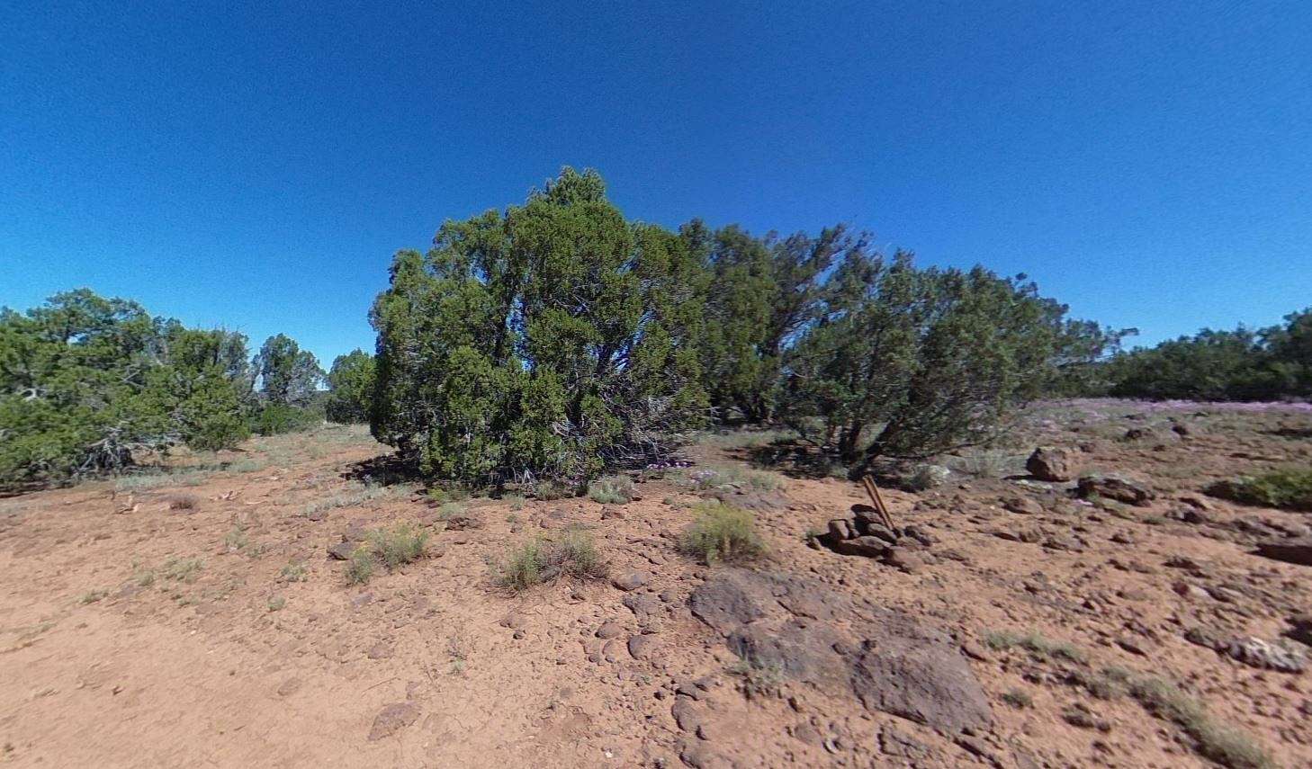 1.16 Acres of Residential Land for Sale in Concho, Arizona