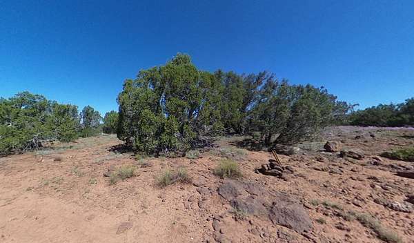 1.16 Acres of Residential Land for Sale in Concho, Arizona