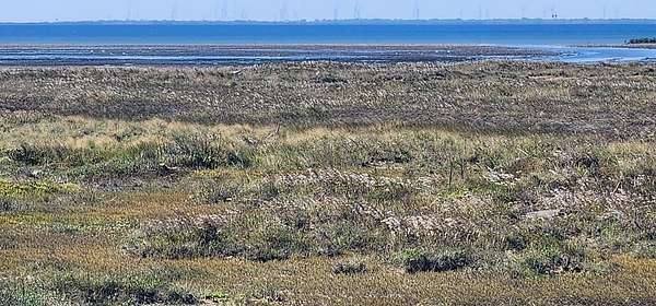 0.26 Acres of Residential Land for Sale in South Padre Island, Texas