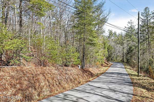 60.6 Acres of Land for Sale in Grandview, Tennessee