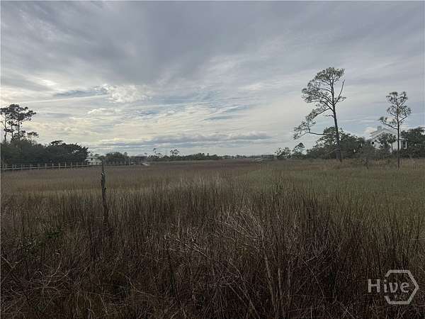 0.78 Acres of Residential Land for Sale in Tybee Island, Georgia