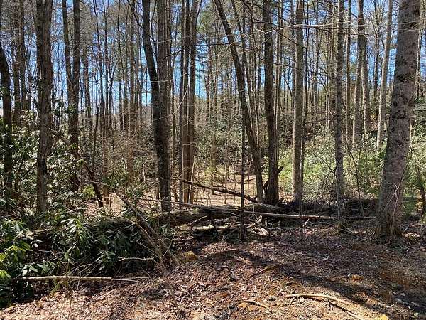 0.55 Acres of Residential Land for Sale in Butler, Tennessee