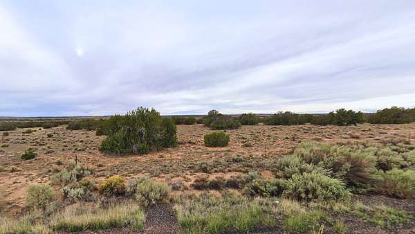 1 Acre of Residential Land for Sale in Chambers, Arizona