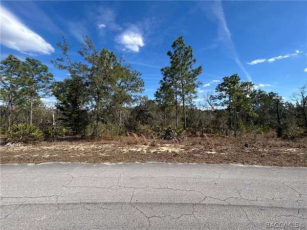 0.28 Acres of Residential Land for Sale in Homosassa, Florida