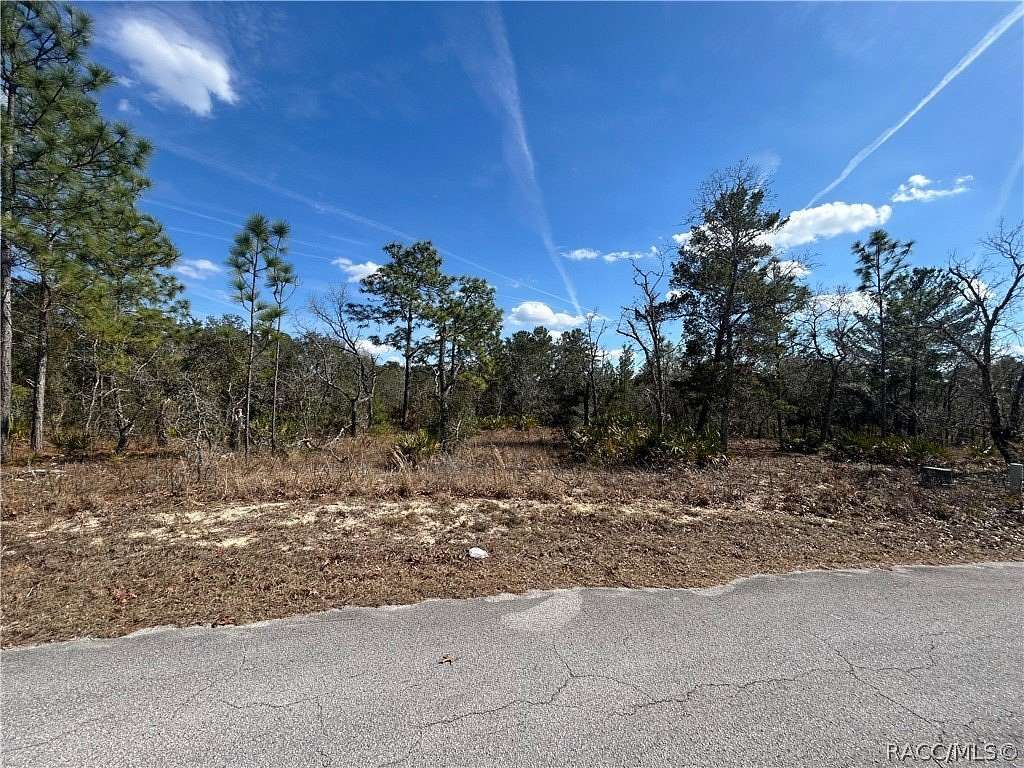 0.28 Acres of Residential Land for Sale in Homosassa, Florida
