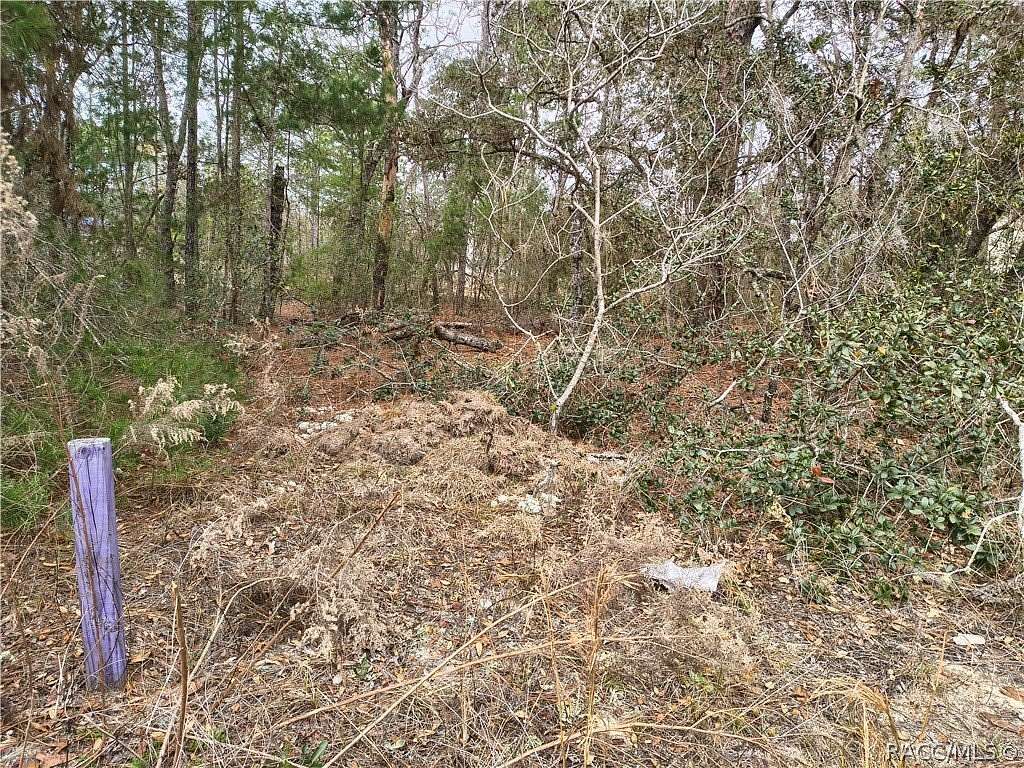 0.23 Acres of Residential Land for Sale in Citrus Springs, Florida
