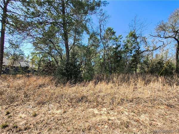 0.23 Acres of Residential Land for Sale in Dunnellon, Florida