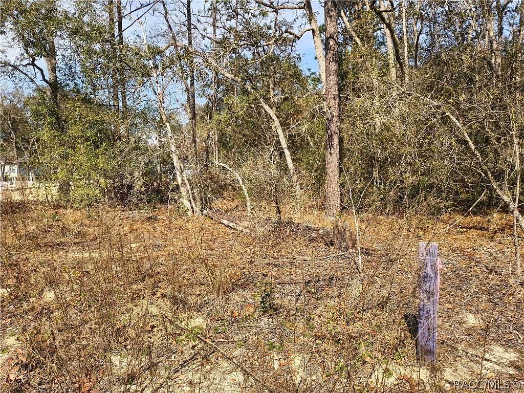 0.23 Acres of Residential Land for Sale in Citrus Springs, Florida
