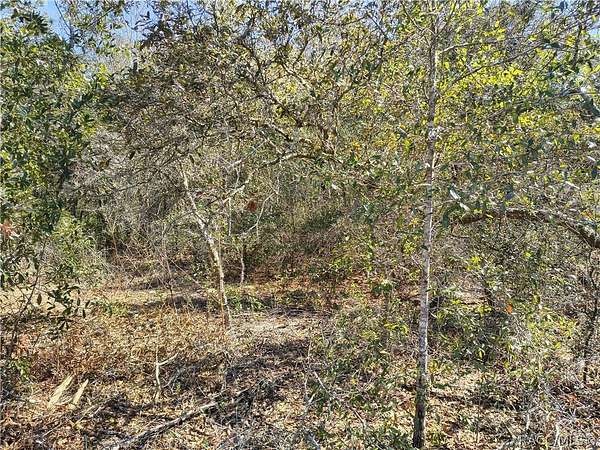 0.23 Acres of Residential Land for Sale in Citrus Springs, Florida