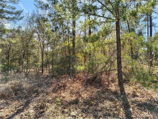 0.23 Acres of Residential Land for Sale in Dunnellon, Florida