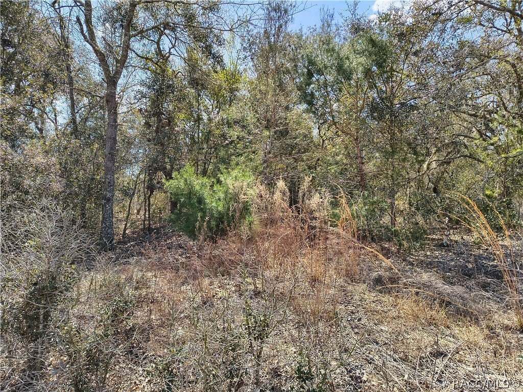 0.23 Acres of Residential Land for Sale in Dunnellon, Florida