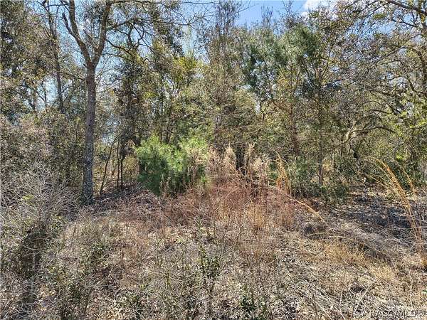 0.23 Acres of Residential Land for Sale in Dunnellon, Florida
