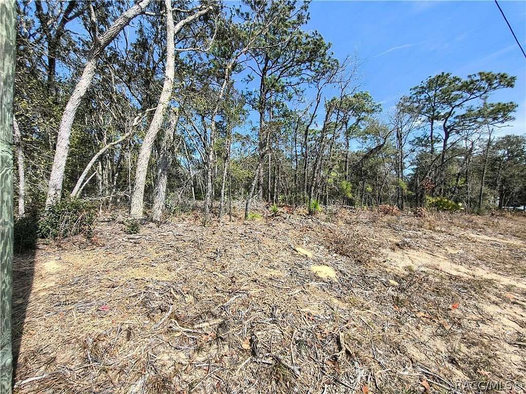 0.23 Acres of Residential Land for Sale in Citrus Springs, Florida