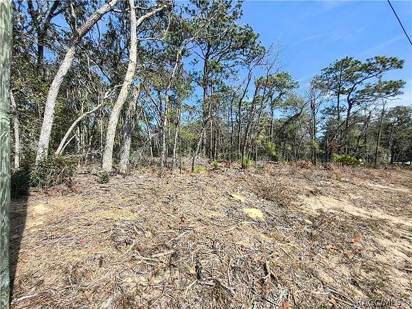 0.23 Acres of Residential Land for Sale in Citrus Springs, Florida