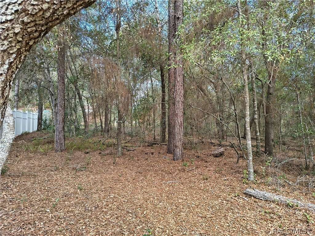 0.23 Acres of Residential Land for Sale in Citrus Springs, Florida