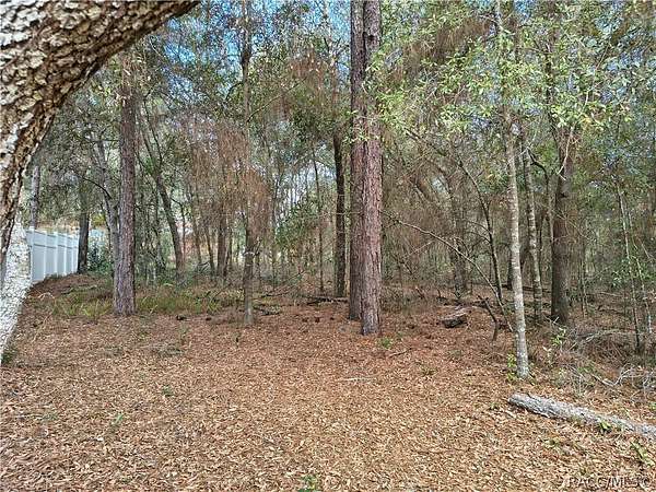 0.23 Acres of Residential Land for Sale in Citrus Springs, Florida